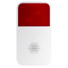 BRANDED ARA10-W