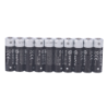 10XBATT-AA-FR06