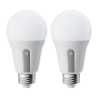 GOVEE GV-BULB-B8015-E27-CCT-2P