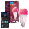 GOVEE GV-BULB-H6004-E27-1P