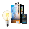 GOVEE GV-BULB-R14C1-EDISON-E27-G80