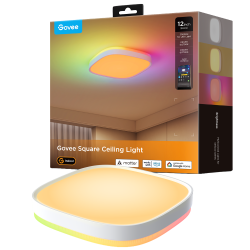 GOVEE GV-CEILING-H80A4-12IN-SQUARE