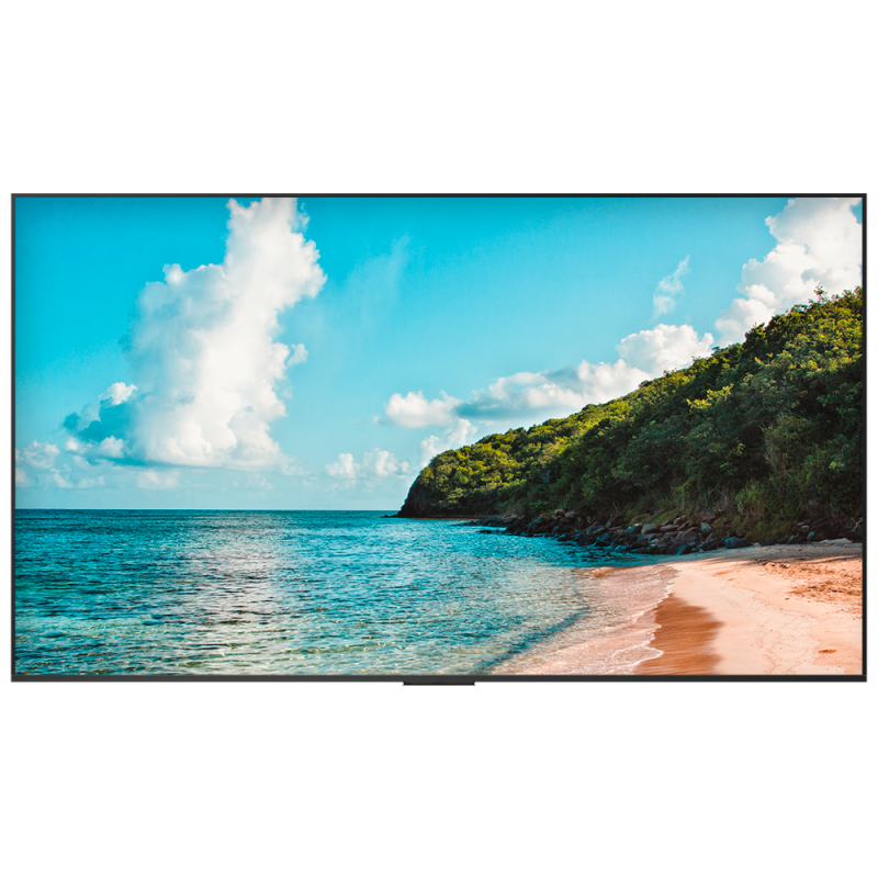 HISENSE HIS-100DM66E