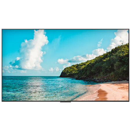 HISENSE HIS-100DM66E