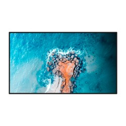 HISENSE HIS-43DM66D