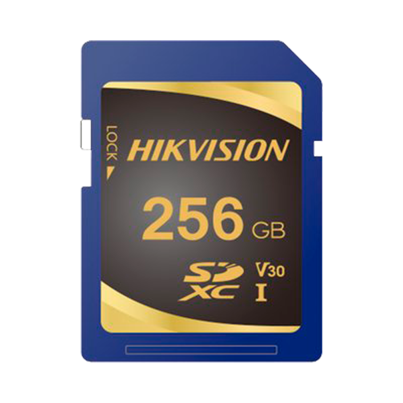 HIKVISION HS-SD-P10STD-256G