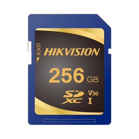 HIKVISION HS-SD-P10STD-256G