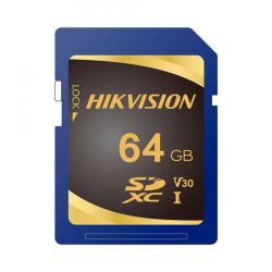 HIKVISION HS-SD-P10STD-64G