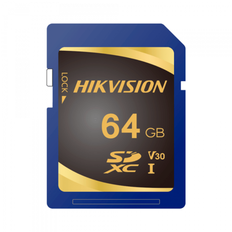 HIKVISION HS-SD-P10STD-64G