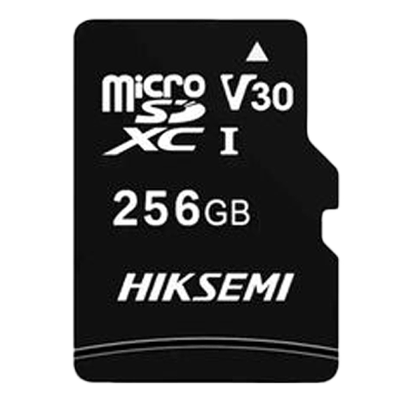 HIKVISION HS-TF-C1STD-256G-NA