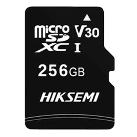 HIKVISION HS-TF-C1STD-256G-NA