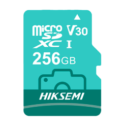 HIKVISION HS-TF-D3STD/256G/NEO LUX/WW