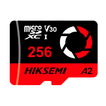 HIKVISION HS-TF-E3STD/256G/CAPTURE/W