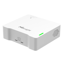 MS-WS302-868M