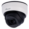 MILESIGHT MS-C2975-RFPD