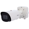 MILESIGHT MS-C8166-FPE