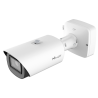 MILESIGHT MS-C8266-FPE