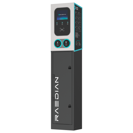 RAEDIAN RD-GEMINI-22-M1-P0+RD-GEMINI-POLE