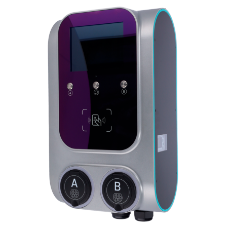 RAEDIAN RD-GEMINI-22WD-SS-M1-P0