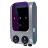 RAEDIAN RD-GEMINI-22WD-SS-M1-P0