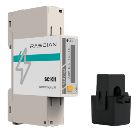 RAEDIAN RD-SCK-1P-1CT