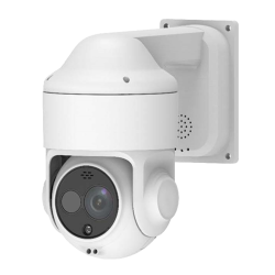 RAYTHINK RP-PD225T-010