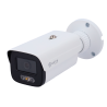SAFIRE SMART SF-IPB386A-4I1-DL