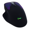 SAFIRE SF-MOUSE-B