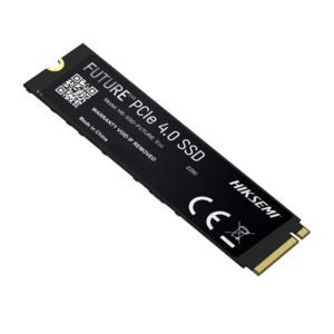HS-SSD-FUTURE-2048G