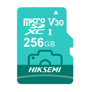 HS-TF-D3STD/256G/NEO LUX/WW