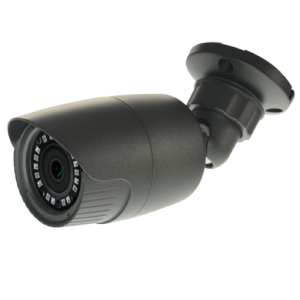 NV-19