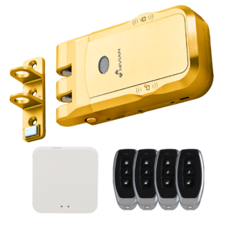 NVS-SMARTBOLT-GOLDEN