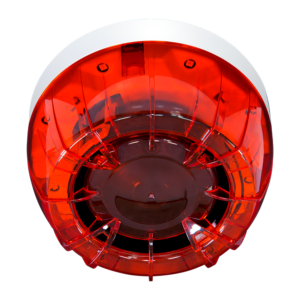TF-TF5TFIS01