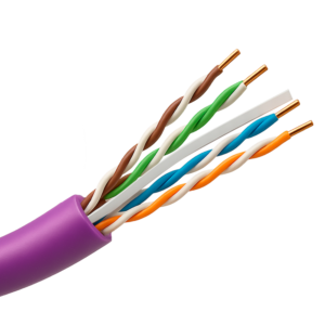 UTP6-305-BC-H-Dca-PURPLE