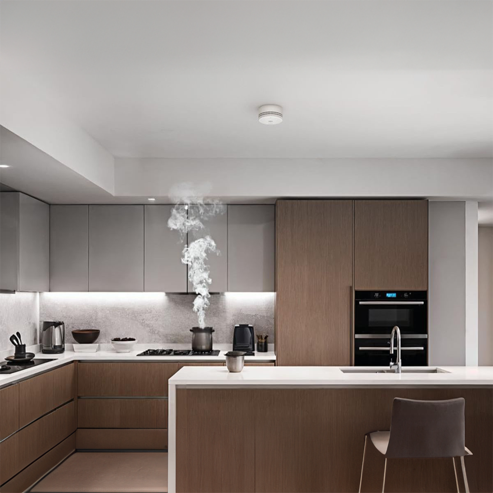 EUFY-ALARM-SMOKE-E10 - Imagen 4