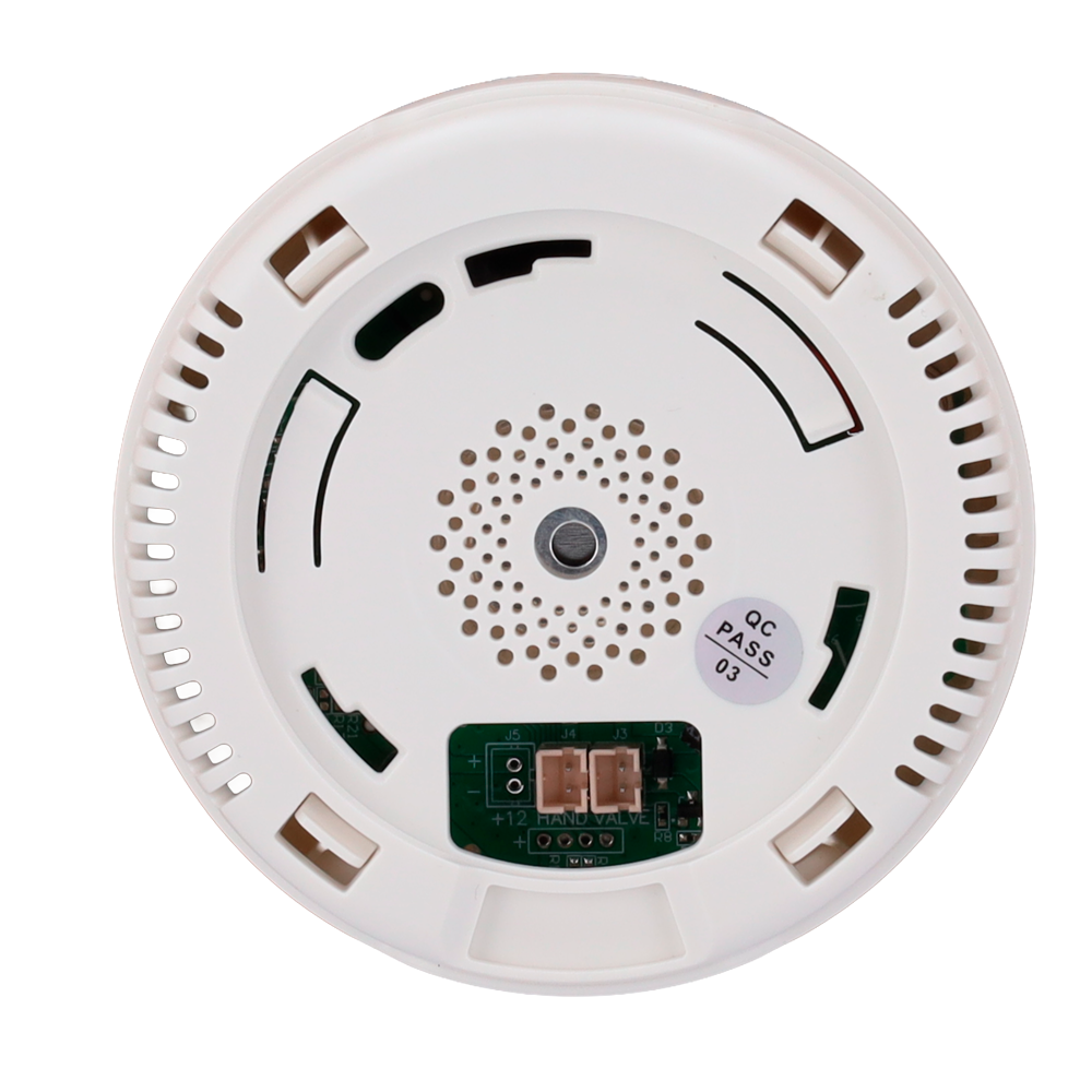NVS-GAS - Imagen 5