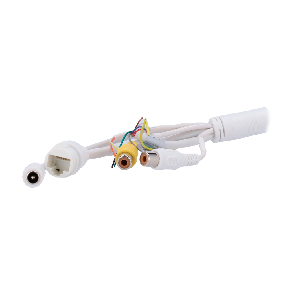 XS-IPTT256A-2D4-WIZ - Imagen 5
